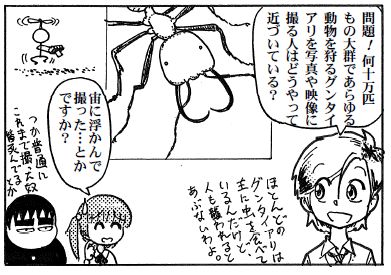 moebio101006 グンタイアリ対策1.jpg
