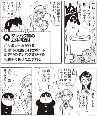 bb_p082_タンパク質畳むのは.jpg