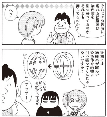 bb_p103_紡錘糸は押してる?.jpg