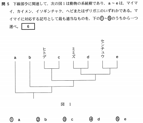 2015センタ生 第5問_6_正解4.png