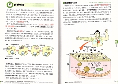 参考書】こってりこだわりの味！『田部の生物基礎をはじめからていねい