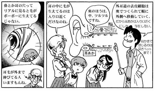 090430 耳の構造(4)-1