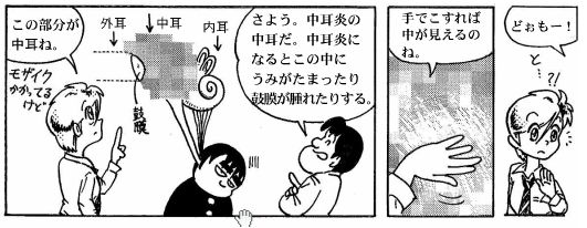090511 耳の構造(5)-1
