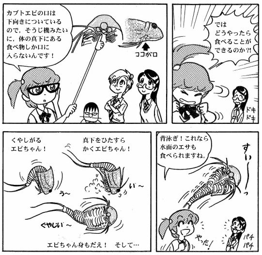 moebio09_カブトエビ-03-2.jpg