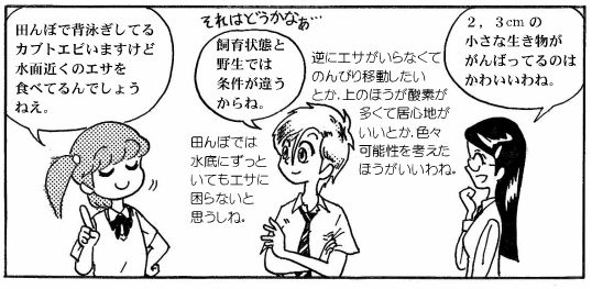 moebio09_カブトエビ-04-1.jpg