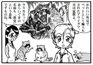moebio100924 あらいぐま悪党1.jpg