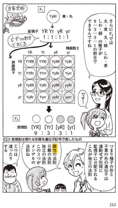 blog220504_bb_p212_14_.png