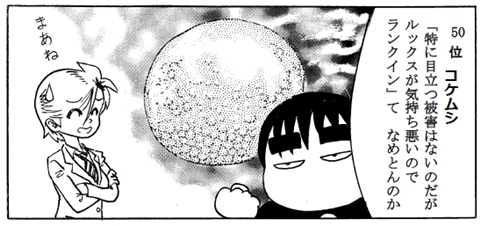 moebio130126_外来生物最悪50-1_480.jpg