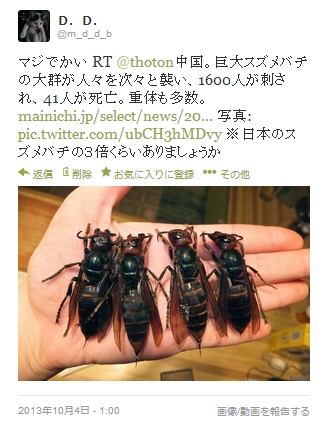 131018 中国スズメバチツイート.jpg