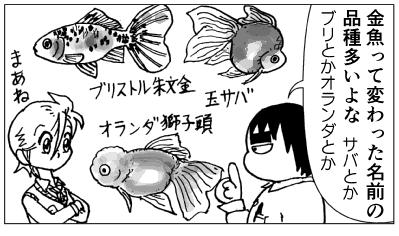 観賞魚の品種名01.png
