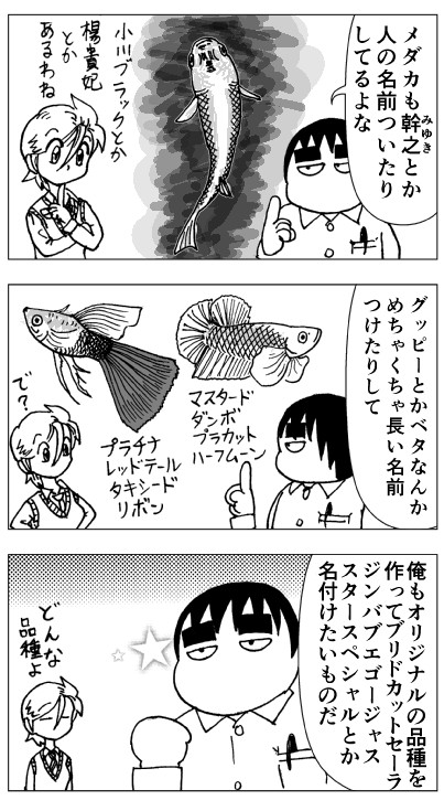 観賞魚の品種名02-04.png