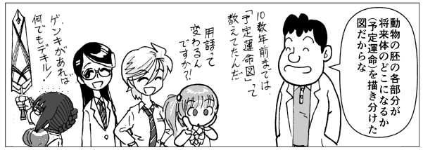150504_英語_原基分布図2.png
