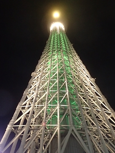 2011 `AiS̓00_XJCc[1111 (2).JPG