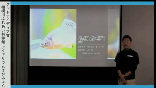 201205エンリッチメント大賞-28_Screenshot_20201205 (78)アクアリウムさがみはら_ミヤコタナゴ.png
