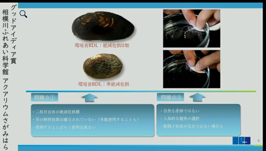201205エンリッチメント大賞-33_Screenshot_20201205 (89)アクアリウムさがみはら_ミヤコタナゴ.png