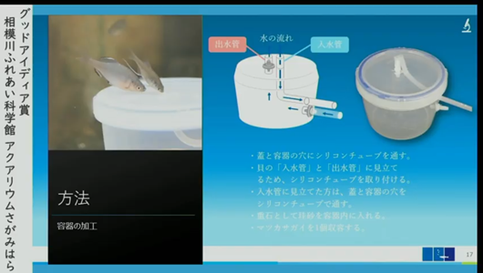 201205エンリッチメント大賞-36_Screenshot_20201205 (95)アクアリウムさがみはら_ミヤコタナゴ.png