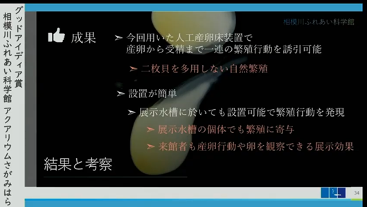 201205エンリッチメント大賞-37_Screenshot_20201205 (105)アクアリウムさがみはら_ミヤコタナゴ.png