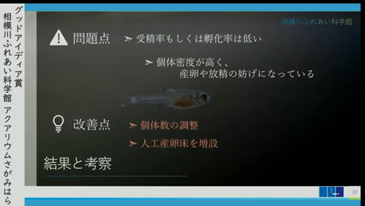 201205エンリッチメント大賞-38_Screenshot_20201205 (107)アクアリウムさがみはら_ミヤコタナゴ.png