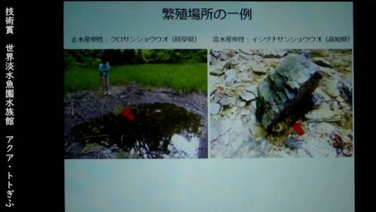 201205エンリッチメント大賞-43_Screenshot_20201205 (117)アクアトトぎふ_マホロバサンショウウオ.png