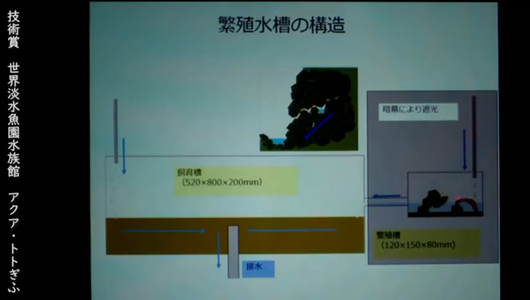 201205エンリッチメント大賞-44_Screenshot_20201205 (120)アクアトトぎふ_マホロバサンショウウオ.png