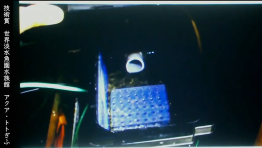 201205エンリッチメント大賞-45_Screenshot_20201205 (122)アクアトトぎふ_マホロバサンショウウオ.png
