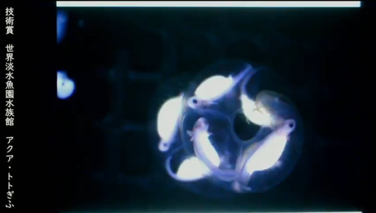 201205エンリッチメント大賞-47_Screenshot_20201205 (126)アクアトトぎふ_マホロバサンショウウオ.png