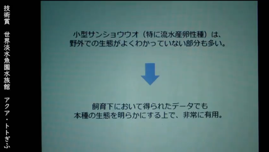 201205エンリッチメント大賞-49_Screenshot_20201205 (129)アクアトトぎふ_マホロバサンショウウオ.png