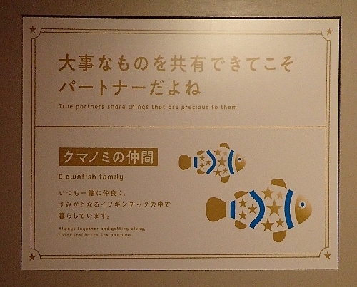 220403_22_lJ^0328o (153)^_N}m~.JPG