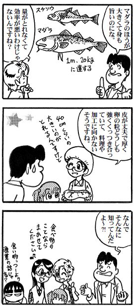 moebio100709 マダラの子2.jpg