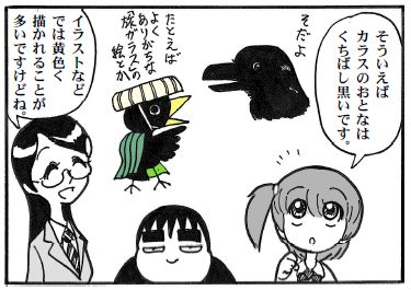 moebio110201 くちばしの色2.jpg