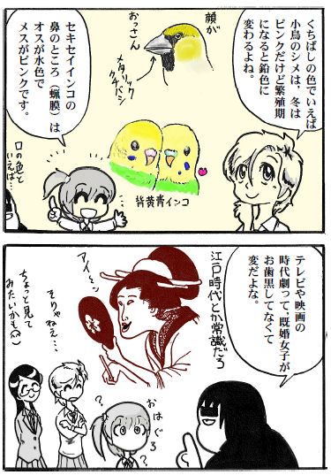 moebio110201 くちばしの色3.jpg