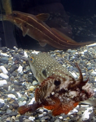 140517 06_3C.JPG