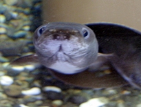 140517 _EiM.JPG