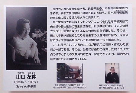 160514目黒寄生虫館 2F山口左仲.jpg