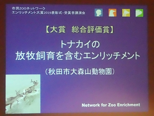 191221Gb`g2019_011_1207 (31)TvXCh_XR0000 - Rs[.JPG