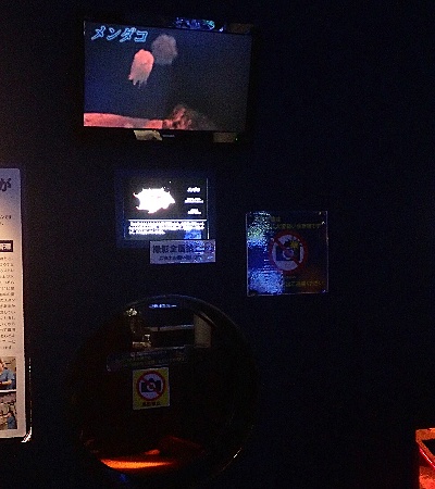 220314_23__R_Í`[CَBe֎~_R 151102 (456).JPG