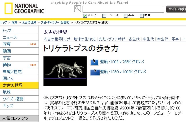 ナショジオトリケラ壁紙.jpg