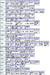 国公立大2009前期出題分野